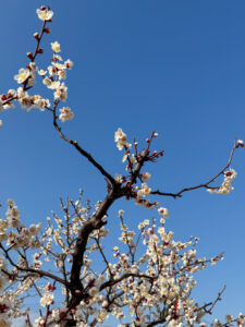 ガラス戸を製作中